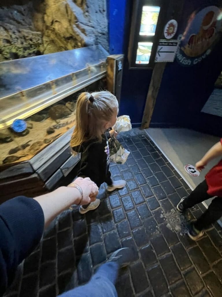 Seaquarium Rhyl